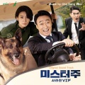 Main Theme from 미스터 주 (Main Theme from Mr. ZOO)