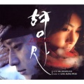 한주헌 - Dies irae