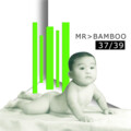 板不先生(MR.BAMBOO) - 37