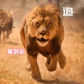 吴剑云 - 追