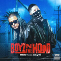 SKYC - BOYZ N THE HOOD