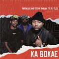 FireMlilo、Tlou Monyepao、Ceeka Dabula、Sipho Nkabinde、DJ Cleo - Ka Bokae