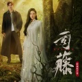江梦 - 答应我
