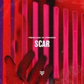 Pierluigi Di Prinzio - Scar