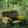 Moss - Owaka