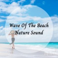 Ocean Waves for Sleep、Ocean Sounds Collection、Lotus Frequencies - Brisk Ocean Views