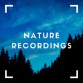 Natural Sample Makers、Nature Recordings、Natural Sound Makers - Chirp Birds