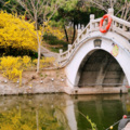 韩邦法 - 一生最爱的是你