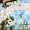 清雅、老葱蘸大酱 - 棠梨煎雪