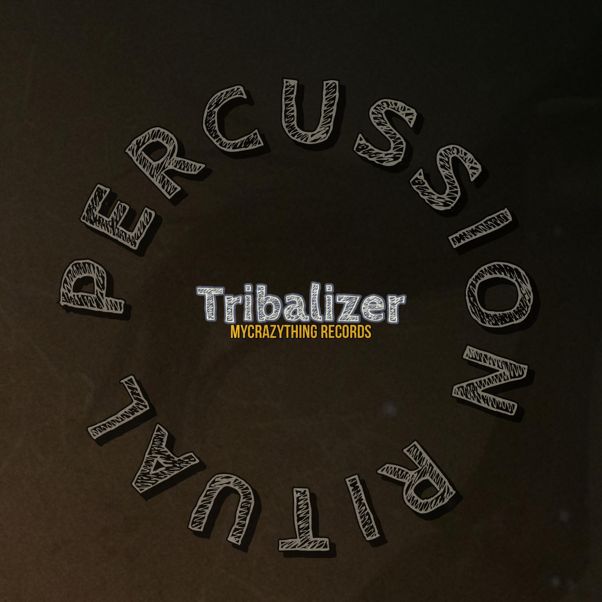 Tribalizer - Don't Lose Your Mind