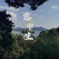 茶烨酱 - 露中生