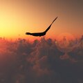 Lazy Tree、Lazy Tree Records - Chill Time