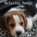 Dog Songs、Dog Music、Sleeping Music For Dogs - Sleeping Puppy