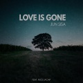 Love Is Gone (feat. NIKO)