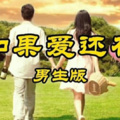 邓国强 - 如果爱还在