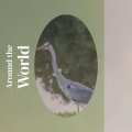 Around the World