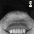 Oddy Nuff da Snow Leopard、Scrim、$uicideboy$ - Don't Give A F**k - Original (Explicit)