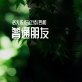 洛天依 - 普通朋友