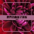 世界名曲笛子演奏