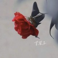赵奕皓 - 苦茶子