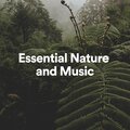 Essential Nature and Music