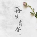 李不悔 - 再见青春