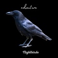 Nightbirde - Adventure