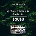 Slim C、Dj Phaks、The Brain - Sgubu (feat. Slim C & The Brain)(Radio Edit)