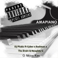 Naughty G、Dj Phaks、Badman A、Cyber、The Brain - O Nkisa Kae (feat. The brain, Cyber, Naughty G & Badman A)(Radio Edit)