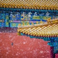 祁小七 - 晚安