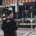 狗熊抛球 - 到此为止