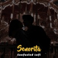Confusled Lofi - Senorita (SlowedandReverb)