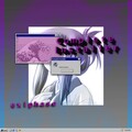 Complete Installer