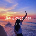 吴昊 - 我不是你的宋冬野