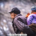 梦中的爷爷