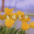 春暖花开