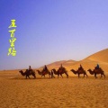 信晗 - 离家五百里