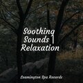 Soothing Sounds | Relaxation