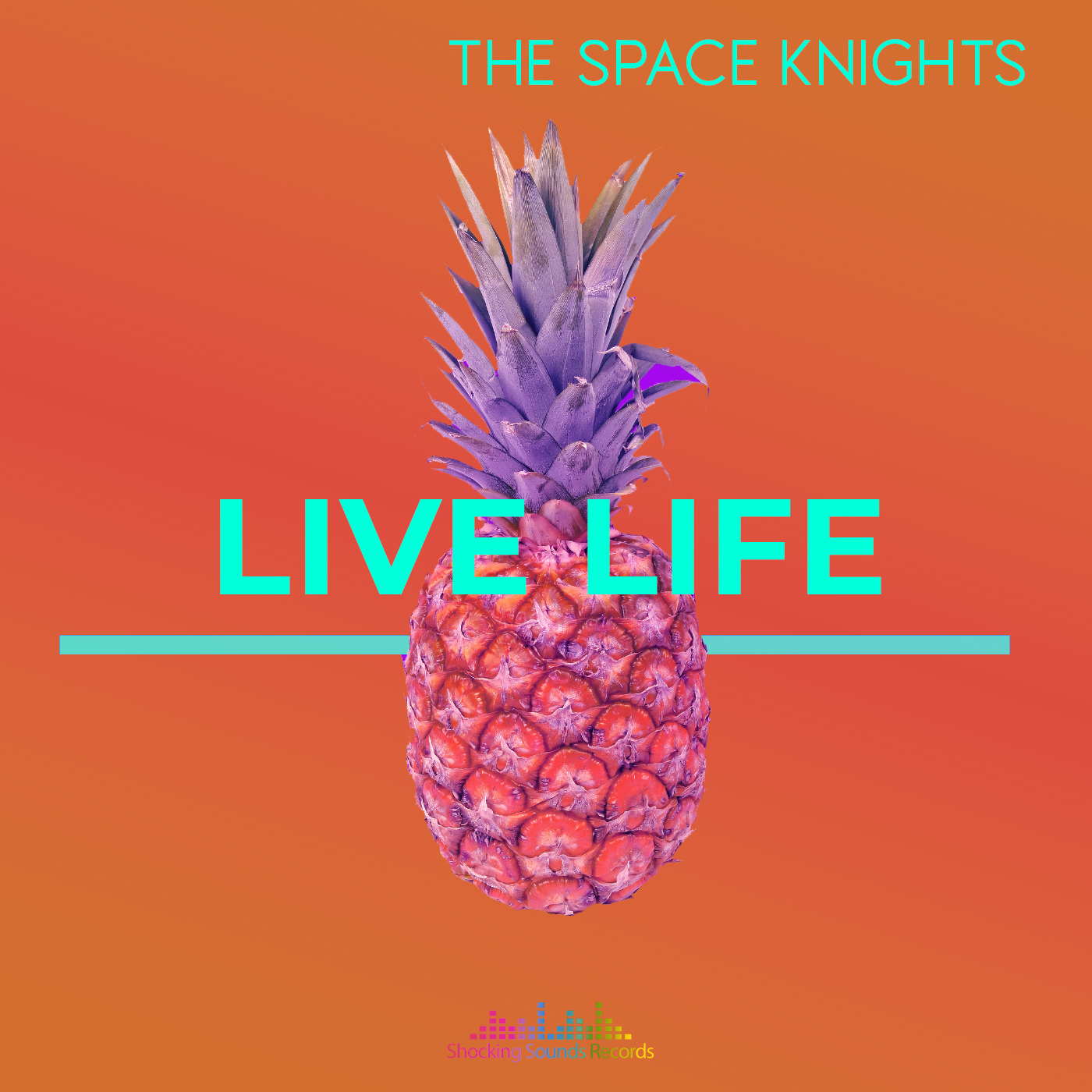 The Space Knights - Live Life