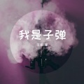 我是子弹