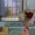 漓渊 - 风过谢桃花