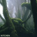 Kitchen - Lost