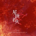 喵瞳Miao - 屋顶着火