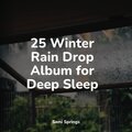 25 Winter Rain Drop Album for Deep Sleep