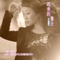 李胜华、红蔷薇 - 迟来的缘分 对唱DJ版