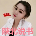 梦静美 - 陕北说书 (找情人的苦)