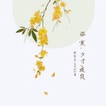 夕寸、夜岚 - 柒寒