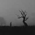 苦瓜啊 - 白月光