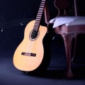 狐狸的夏天 - 杨雪霏 - Valses Poeticos 2