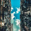 Schro - 小芳